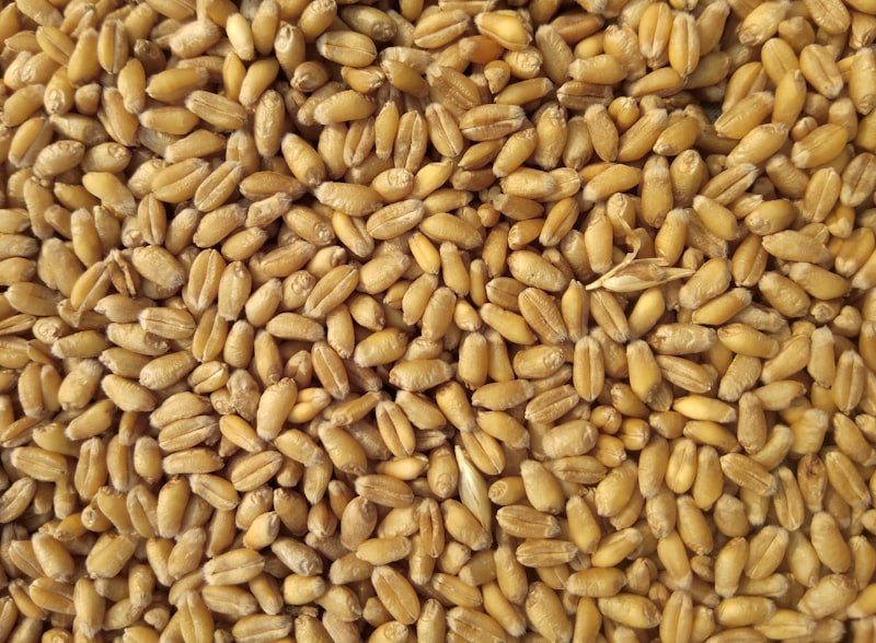 Aashirvaad Superior MP Whole Wheat Atta 10kg